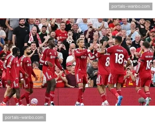 布伦特福德后防危机：六名一线队球员因伤高挂免战牌